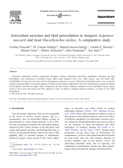 Antioxidant enzymes and lipid peroxidation in sturgeon Acipenser