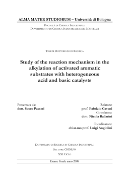 Study of the reaction mechanism in the alkylation of
