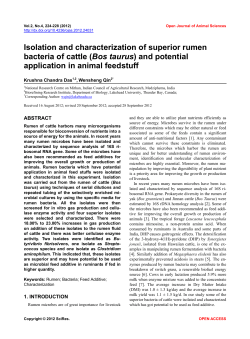 Isolation and characterization of superior rumen bacteria of cattle