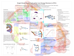 Single-Strand Breaks Induced by Low-Energy Electrons in