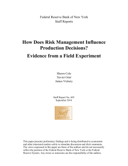How Does Risk Management Influence Production Decisions