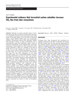 Experimental evidence that terrestrial carbon subsidies increase