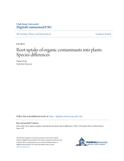 Root uptake of organic contaminants into plants: Species differences
