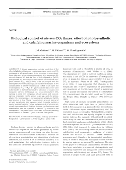 Biological control of air-sea CO2 fluxes: effect of