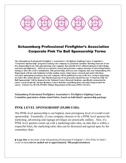 Schaumburg Professional Firefighter`s Association