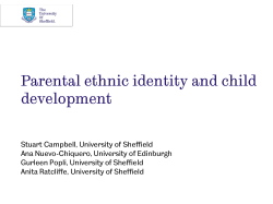 Persistent Poverty and Children`s Cognitive Development: Evidence