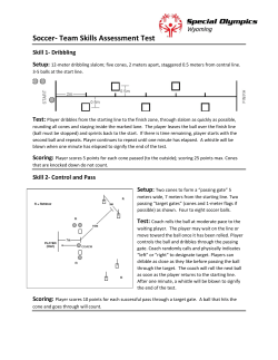 Soccer- Team Skills Assessment Test