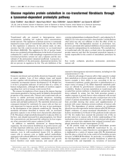 Glucose regulates protein catabolism in ras