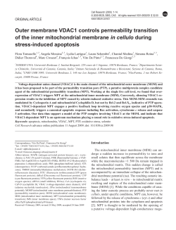 Outer membrane VDAC1 controls permeability transition of the inner