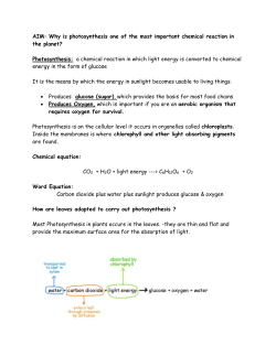 photosynthesis and Respiration