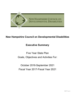 New Hampshire Council on Developmental Disabilities Executive