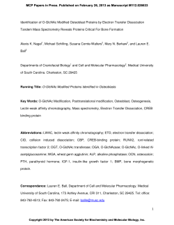 1 Identification of O-GlcNAc Modified Osteoblast Proteins by