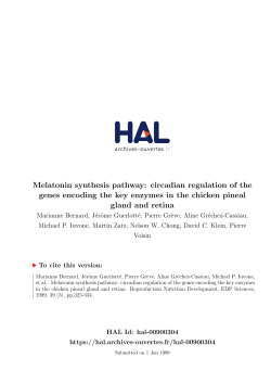Melatonin synthesis pathway: circadian regulation of the genes