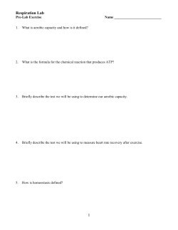 Lab #8: Aerobic Capacity