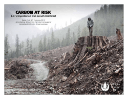 Carbon at risk - Sierra Club BC