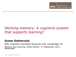 Working memory: A cognitive system that supports learning?