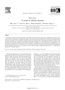 A model of calcium channels - Corry Research Group
