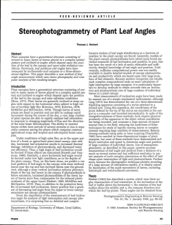 Stereophotogrammetry of Plant Leaf Angles