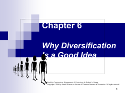 Diversification and Beta
