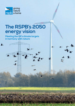 2050 Energy Vision