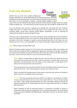 Orchard diseases &ndash; a guide