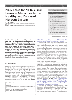 "New Roles for MHC Class I Immune Molecules in