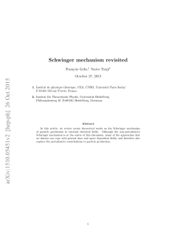 Schwinger formalism revisited