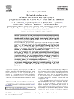 Mechanistic studies on the effects of nicotinamide on