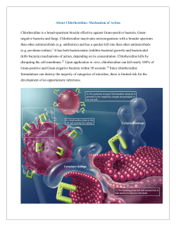 About Chlorhexidine: Mechanism of Action