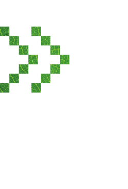 Australian Bioenergy Roadmap