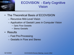 Early Cognitive Vision - Neuro-IT