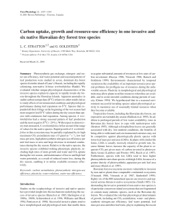Carbon uptake, growth and resource-use efficiency in one invasive