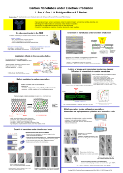 Carbon nanotubes under electron irradiation
