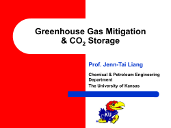 Using Biosurfactants Produced from Agriculture Process Waste