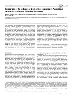 Comparison of the cellular and biochemical properties of