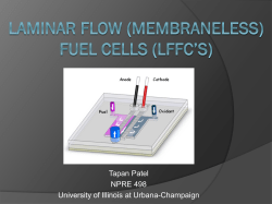 Nano Fuel Cells Wikipedia Project Proposal