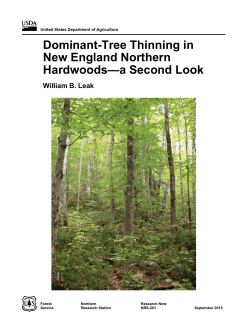 Dominant-tree thinning in New England northern hardwoods&mdash;a