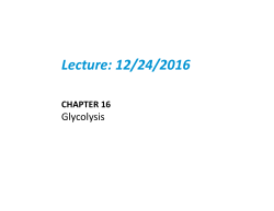 Lecture: 12/24/2016