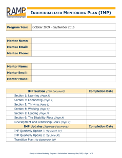individualized mentoring plan (imp)