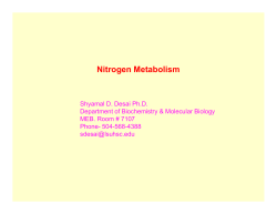 Nitrogen Metabolism - LSU School of Medicine