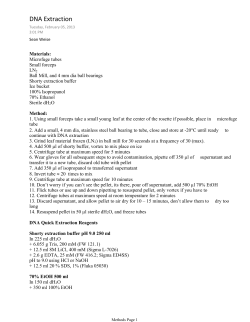 DNA Extraction