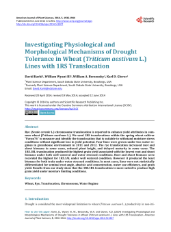 Investigating Physiological and Morphological Mechanisms of