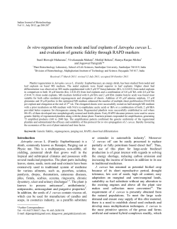 In vitro regeneration from node and leaf explants of