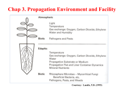 Chapter 3. Environment and facilities