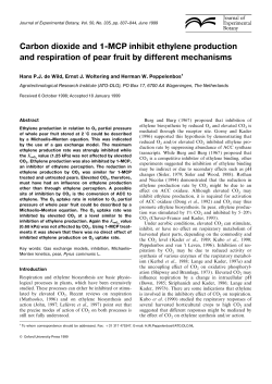 Carbon dioxide and 1-MCP inhibit ethylene production and