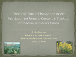 Effects of Climate Change and Insect Infestation on Terpene Content