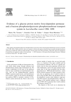 Evidence of a glucose proton motive force‐dependent permease