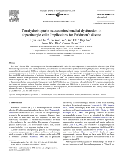 Tetrahydrobiopterin causes mitochondrial dysfunction in