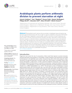 Arabidopsis plants perform arithmetic division to prevent starvation