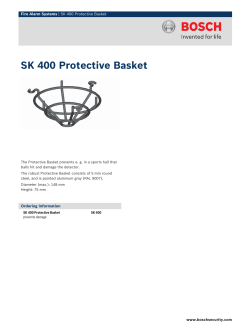 SK 400 Protective Basket